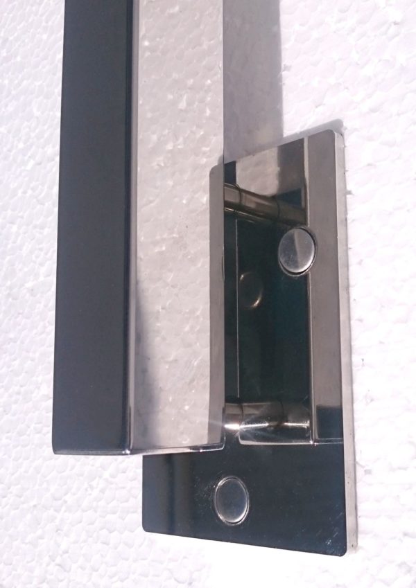 placa lateral